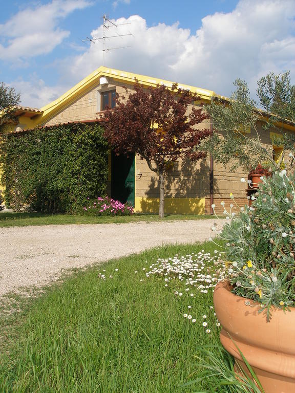 مارينا دي غروسيتو Agriturismo Albarosa-Terre Dell'Amore الغرفة الصورة